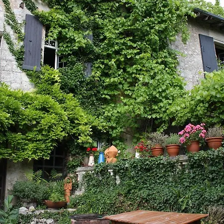 La Perdrix Saint-Martin-de-Ribérac